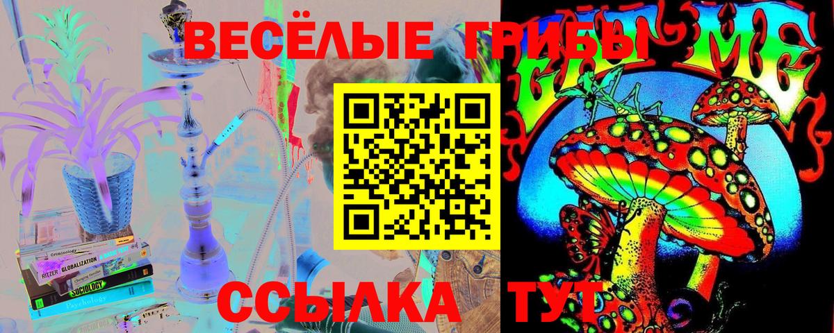 Галлюциногенные грибы GOLDEN TEACHER Зеленогорск