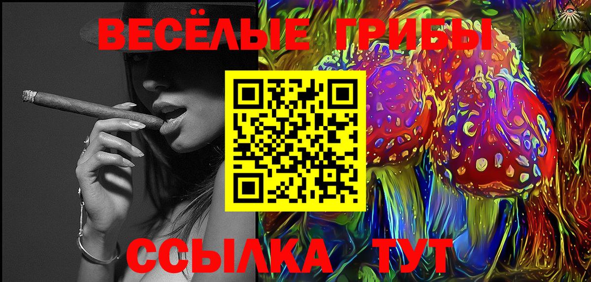 Зеленогорск  Псилоцибиновые грибы GOLDEN TEACHER  Вход с VPN 